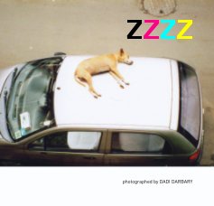 ZZZZ book cover