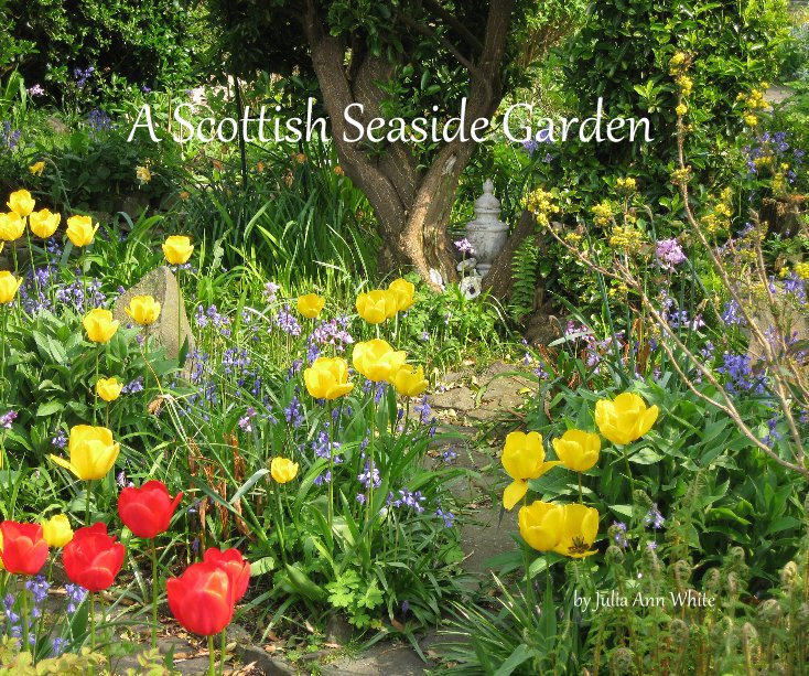 View A Scottish Seaside Garden by Julia Ann White