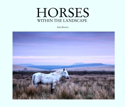 HORSES 
WITHIN THE LANDSCAPE book cover