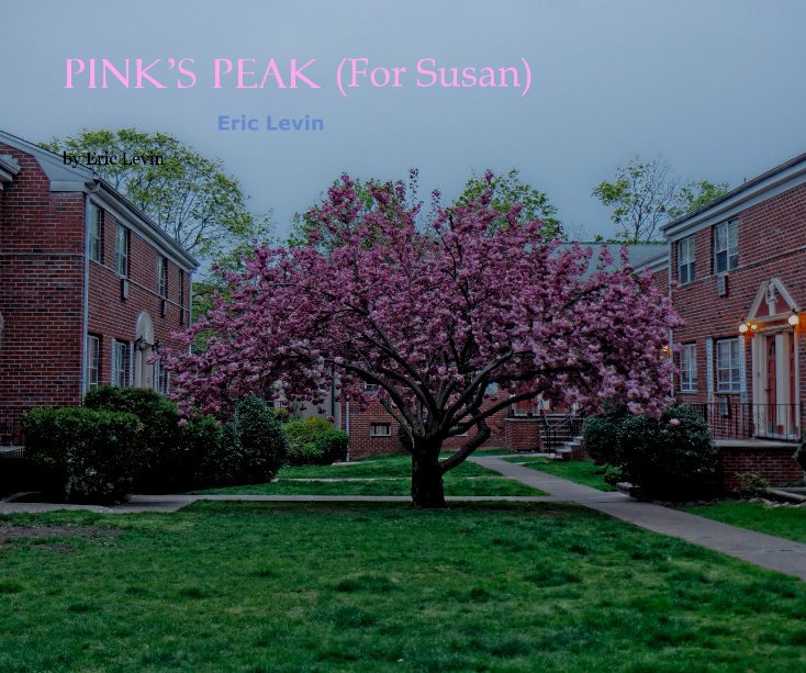 View Pink's Peak (For Susan) by Eric Levin