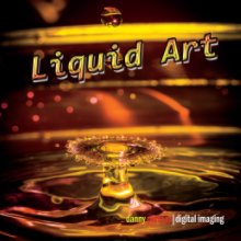 Liquid Art book cover