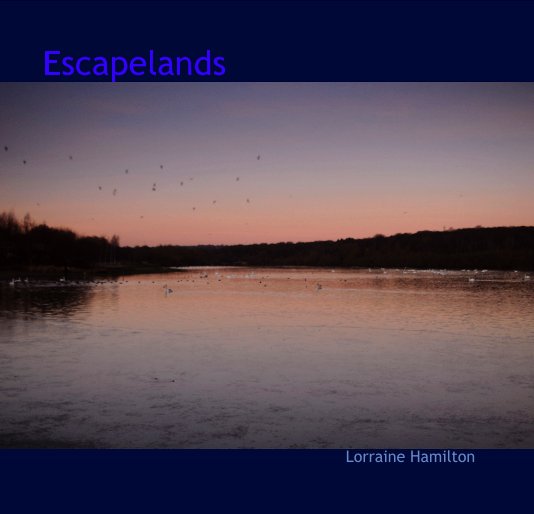 Visualizza Escapelands di Lorraine Hamilton