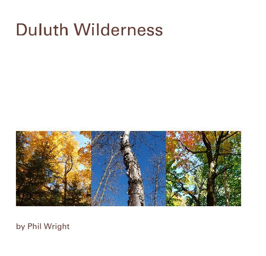 View Duluth Wilderness by Phil Wright