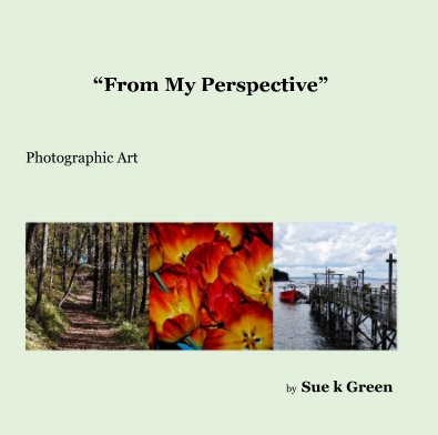 “From My Perspective” book cover