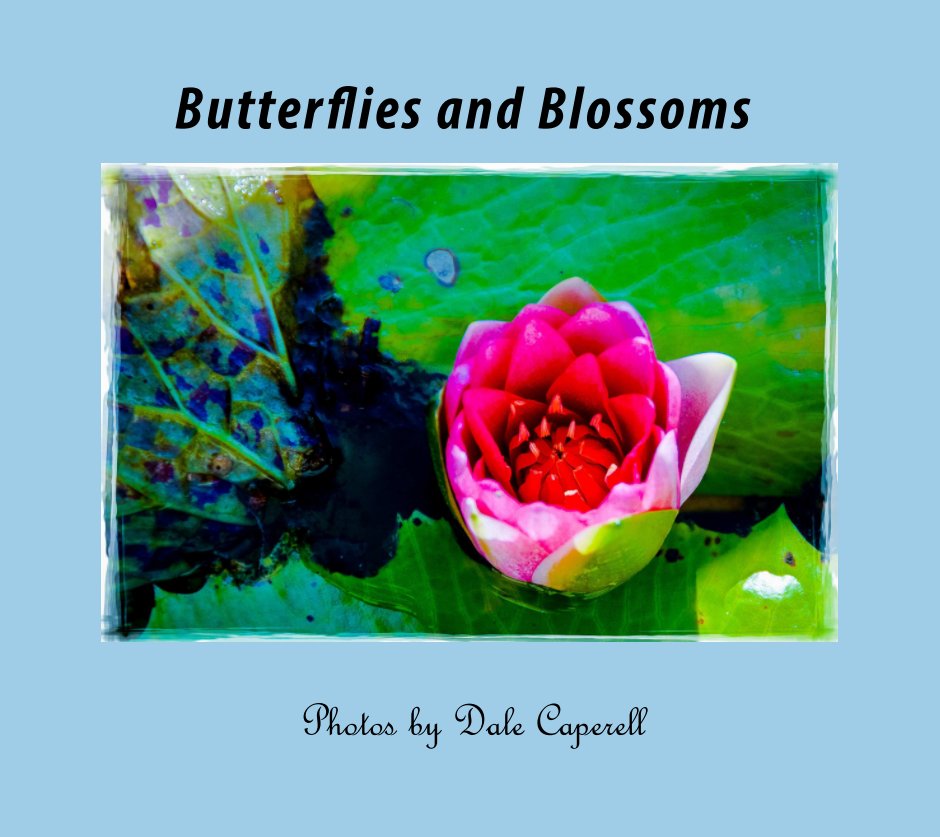 View Butterflies and Blossoms by Dale Caperell