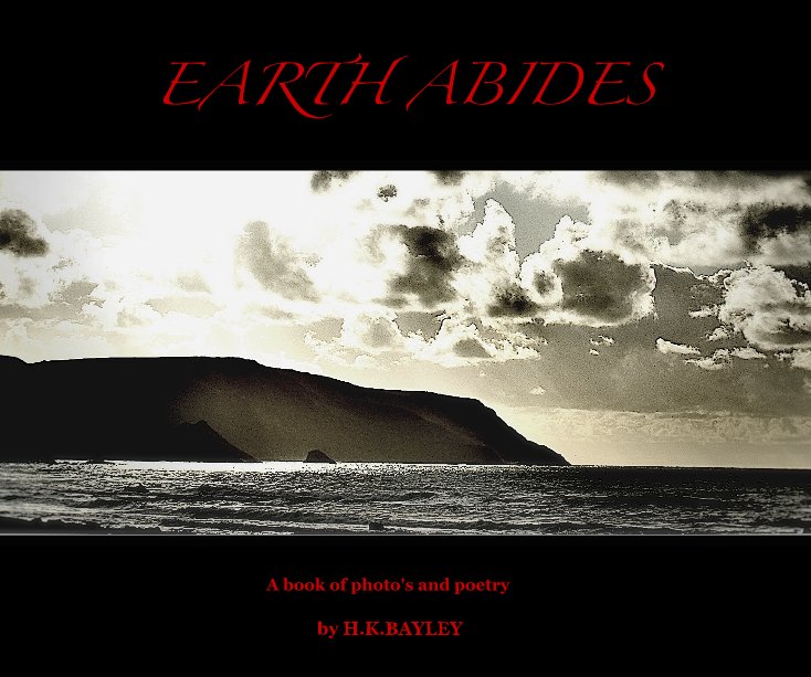 View EARTH ABIDES by H.K.BAYLEY