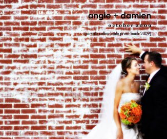 angie + damien book cover