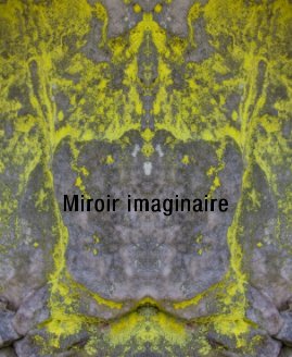 Miroir imaginaire book cover