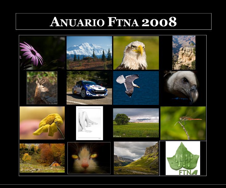 View Anuario FTNA 2008 by FTNA