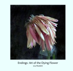 Endings: Art of the Dying Flower book cover