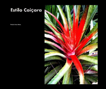 Estilo Caiçara book cover