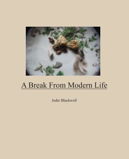 A Break From Modern Life book cover