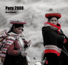 Peru 2008 Ãscar DiÃ©guez book cover