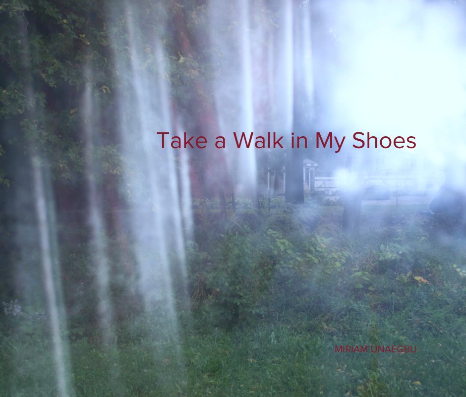 Ver Take a Walk in My Shoes por MIRIAM UNAEGBU