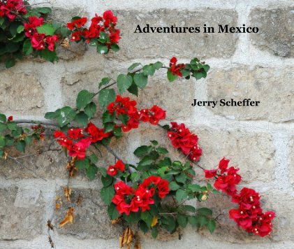 Adventures in Mexico book cover