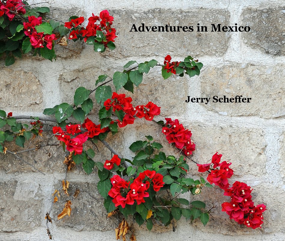 View Adventures in Mexico by Jerry Scheffer