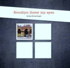 Brooklyn threw my eyes book cover