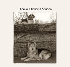 Apollo, Chance & Shadow book cover