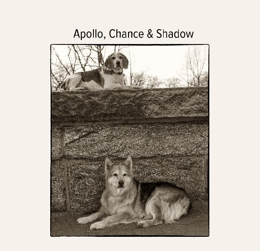 Ver Apollo, Chance & Shadow por Diana Haskell