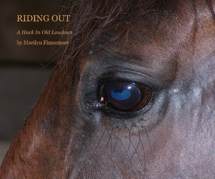 View RIDING OUT by Marilyn Finnemore