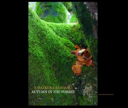 UDAZKENA BASOAN AUTUMN IN THE FOREST Joseba Zabala Urrutikoetxea book cover