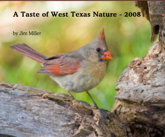 A Taste of West Texas Nature - 2008 book cover