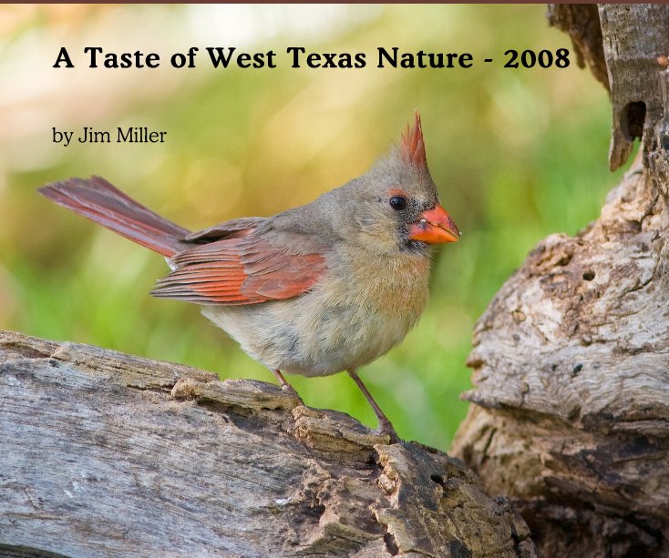 View A Taste of West Texas Nature - 2008 by Jim Miller