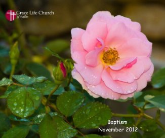 Baptism November 2012 book cover