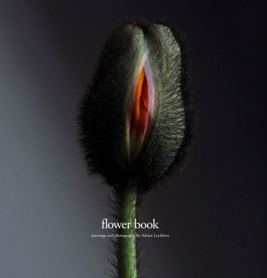 Flower Book book cover