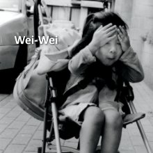WEI-WEI book cover