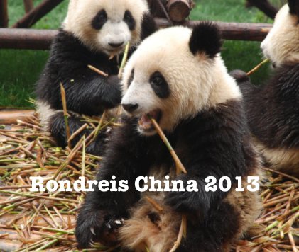 Rondreis China 2013 book cover