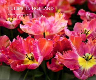 TULIPS IN HOLLAND book cover