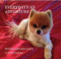 EVERYDAY'S AN ADVENTURE With Captain Oats book cover