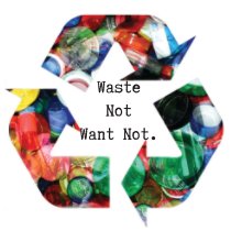 Waste Not Want Not. book cover
