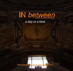 In between a day and a night book cover