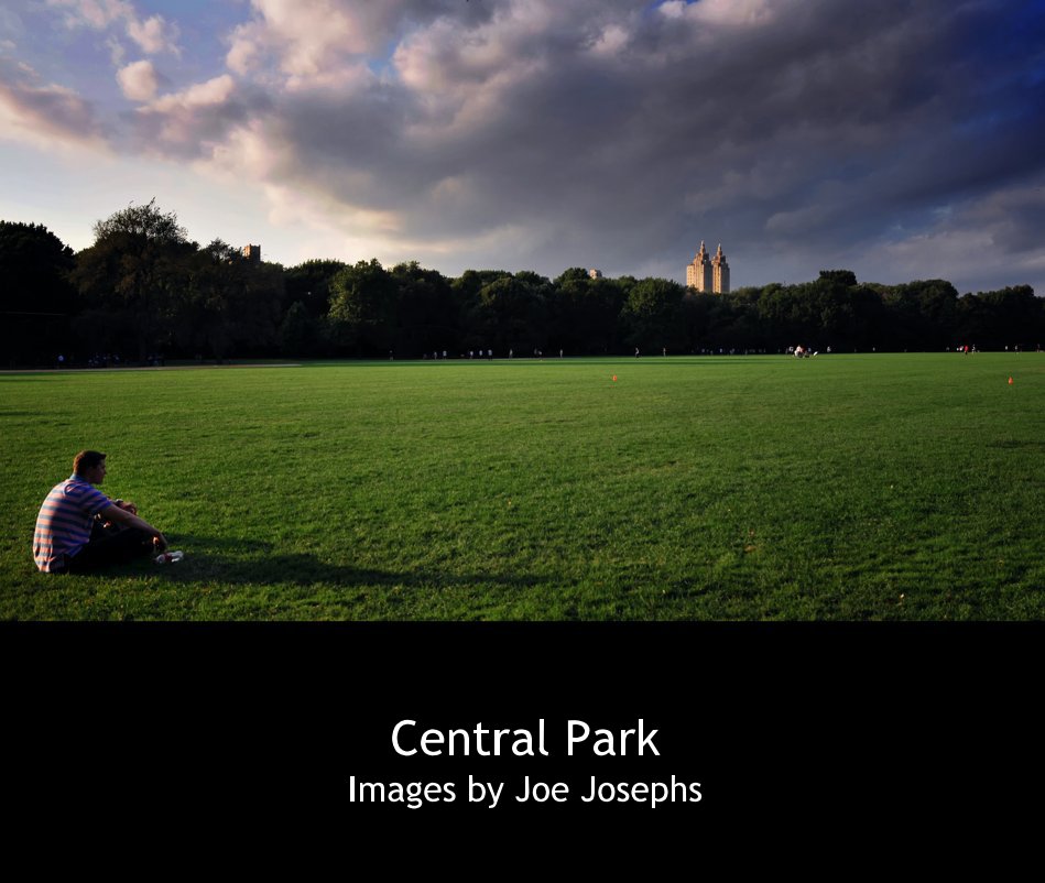 View Central Park by Joe Josephs