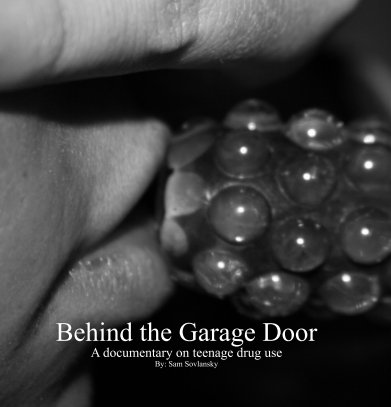 Behind the Garage Door book cover