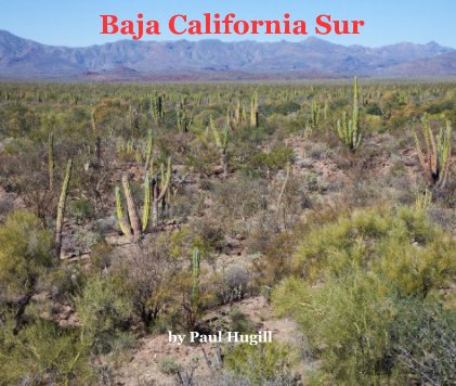 Baja California Sur book cover