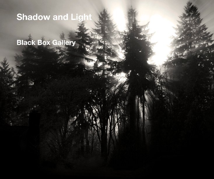 Ver Shadow and Light por Black Box Gallery