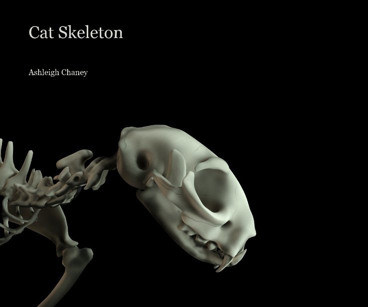 Ver Cat Skeleton por Ashleigh Chaney
