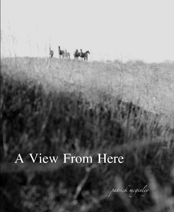 Visualizza A View from Here di patrick mcginley