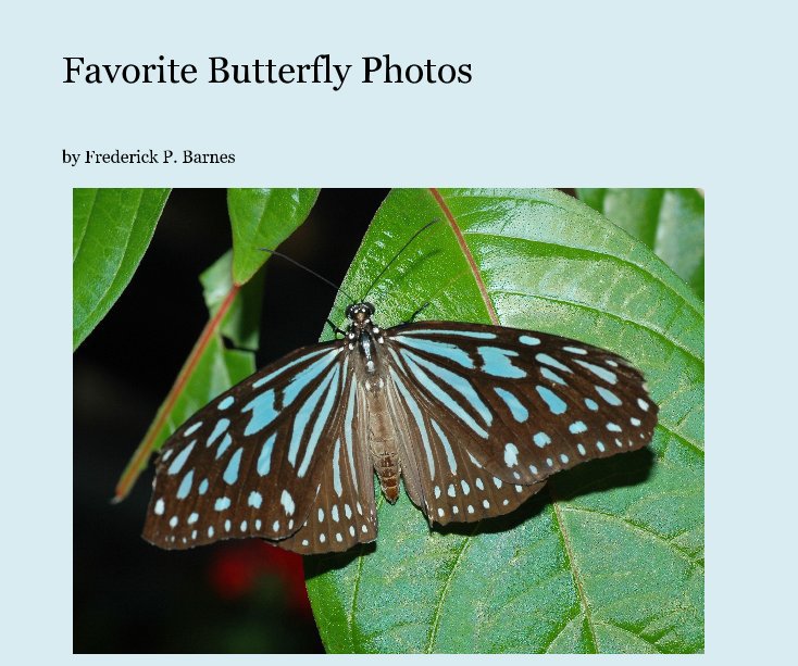 View Favorite Butterfly Photos by Frederick P. Barnes