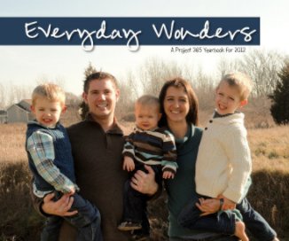 Everyday Wonders book cover