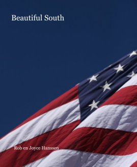 Beautiful South book cover