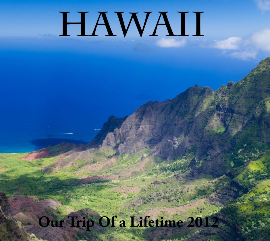 View Hawaii by Larry McCray