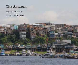The Amazon book cover