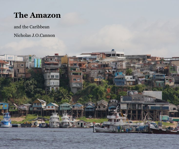 View The Amazon by Nicholas J.O.Cannon