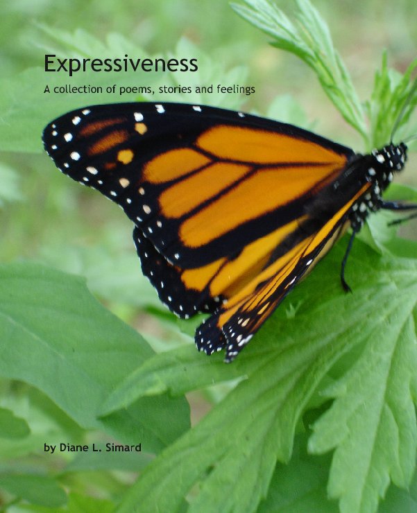 View Expressiveness by Diane L. Simard
