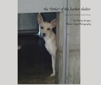 the "littles" of the harbor shelter volume 2 book cover