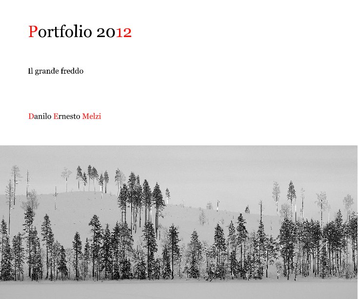 Bekijk Portfolio 2012 op Danilo Ernesto Melzi